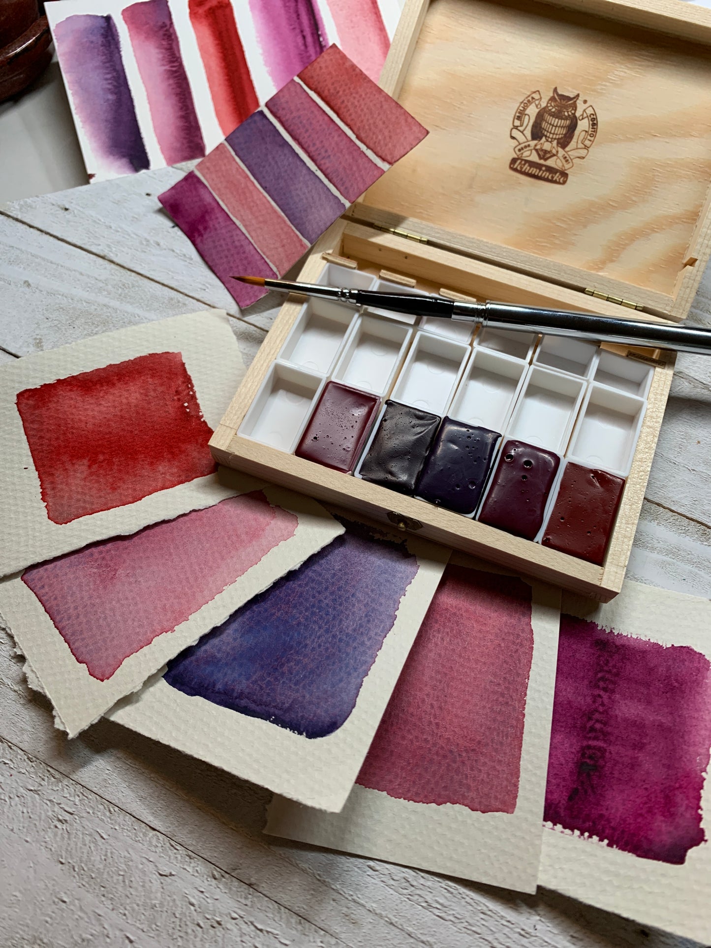 Winter Berry Limited Edition Watercolor Set