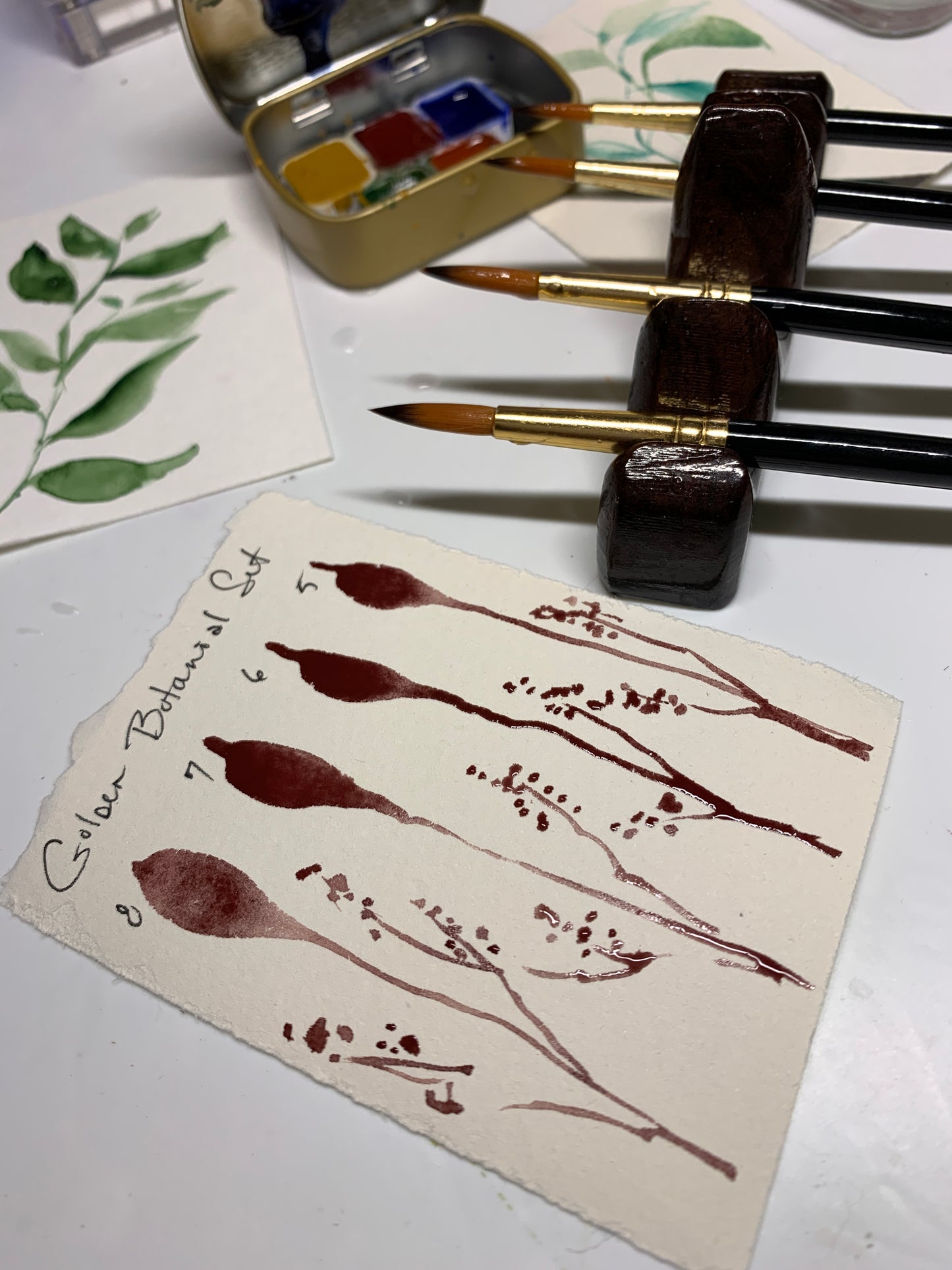 Pointed Round Watercolor Brushes