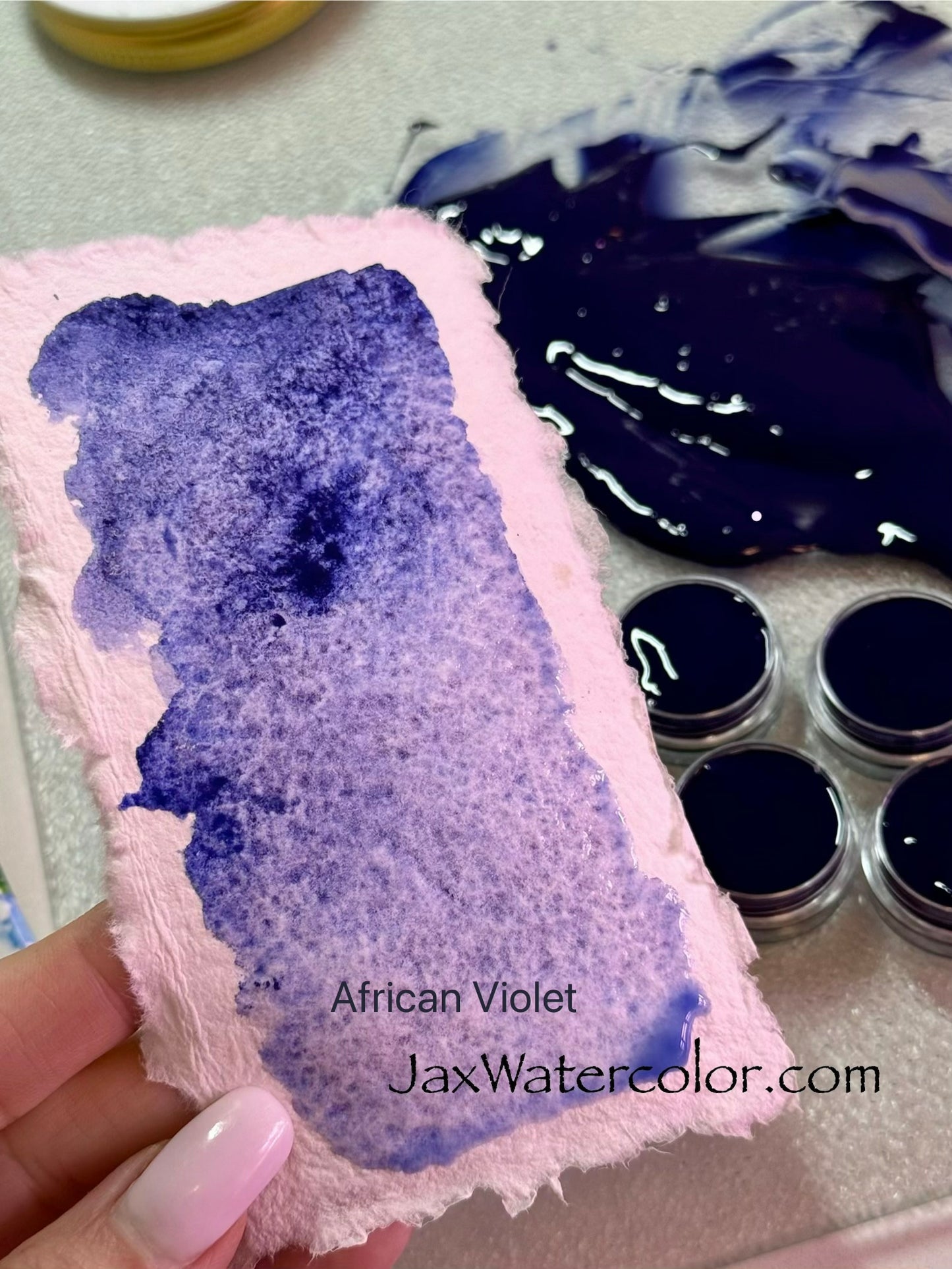 AFRICAN VIOLET