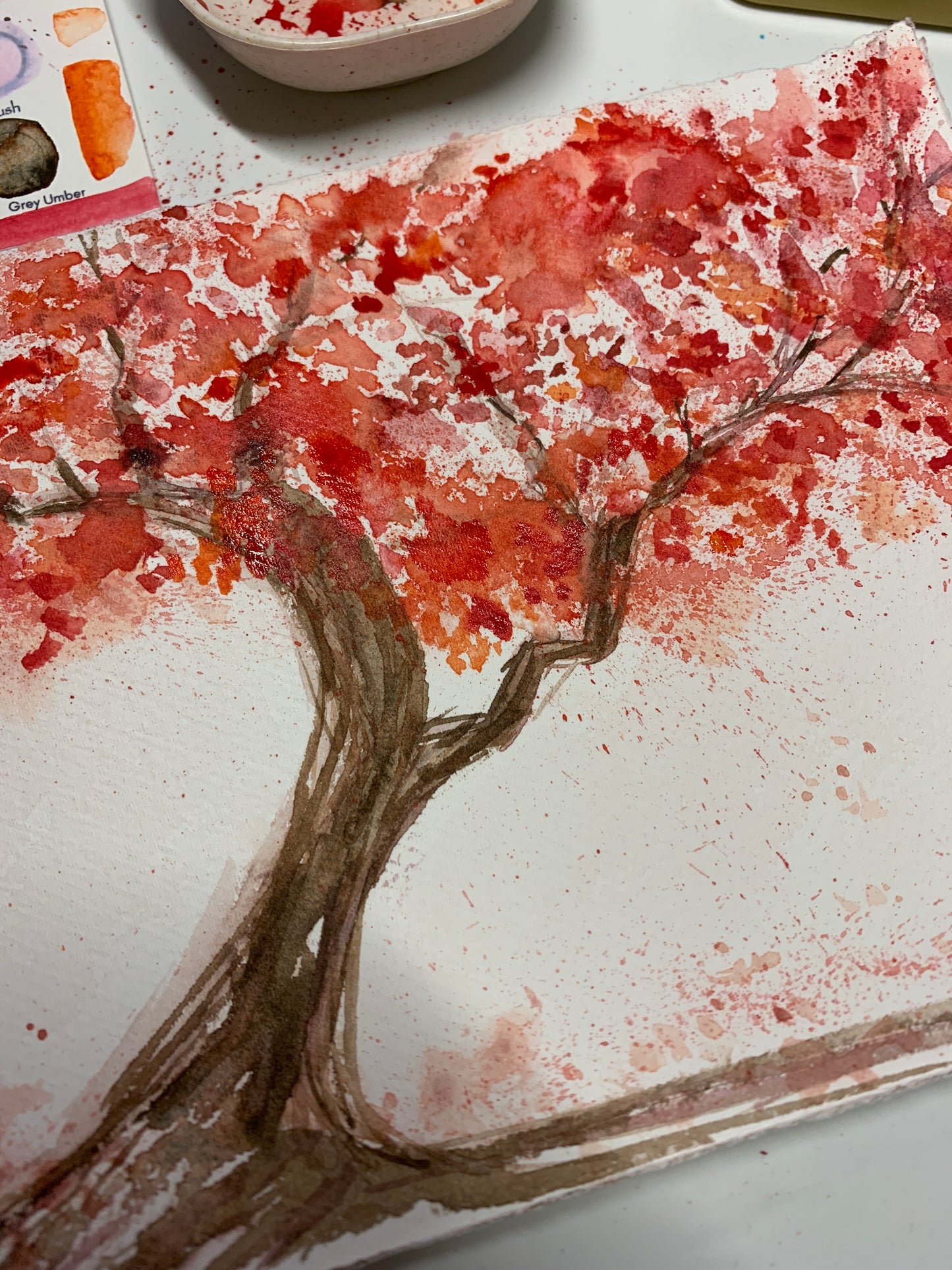 Jax 🌸 Handmade Watercolor Sampler Sets