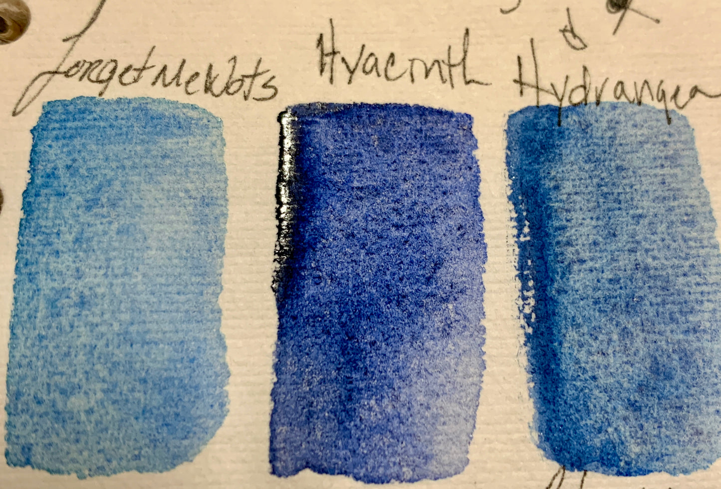 Blue Flower Handmade Watercolor Trio - Limited Edition Set