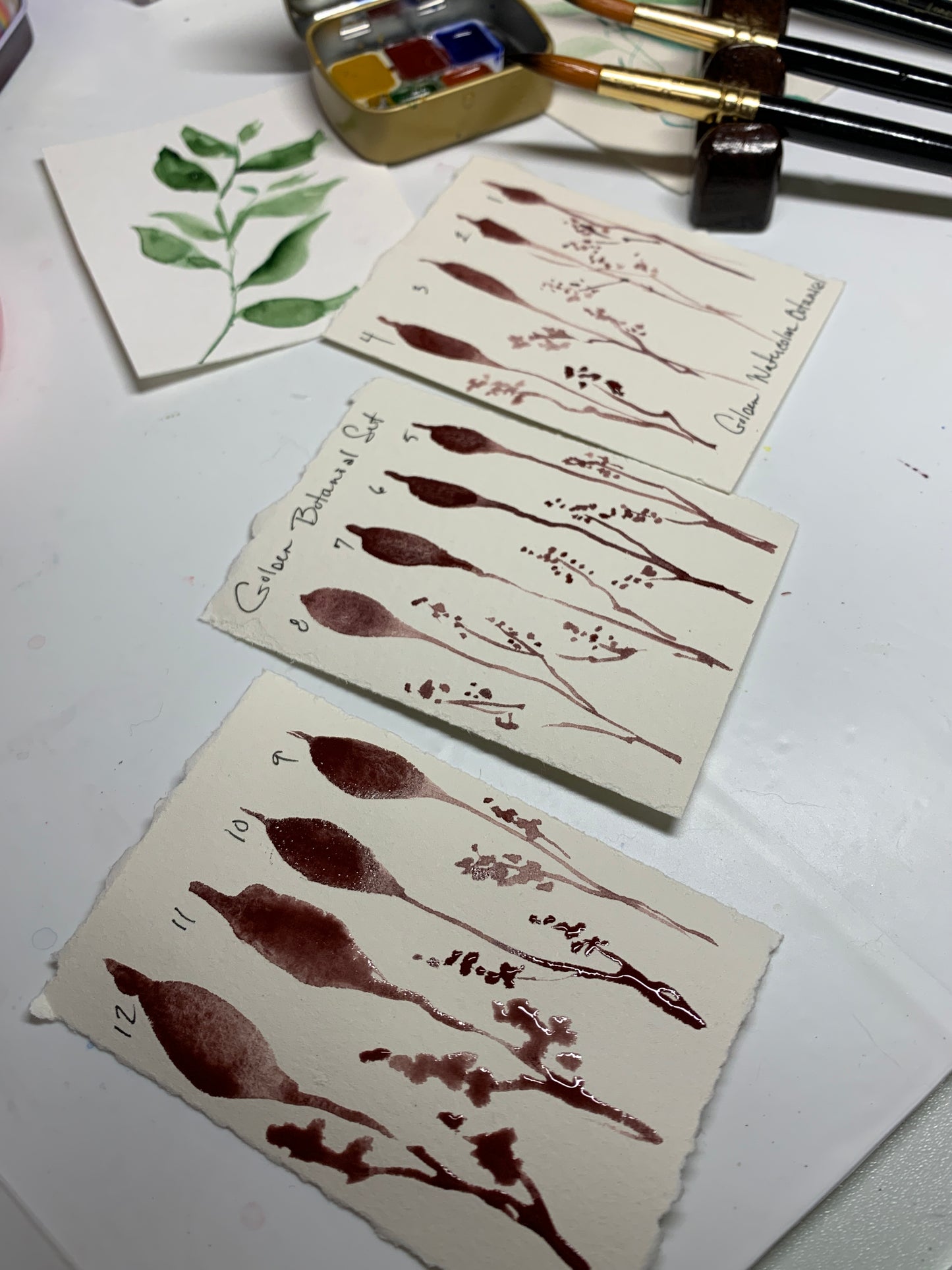 Pointed Round Watercolor Brushes