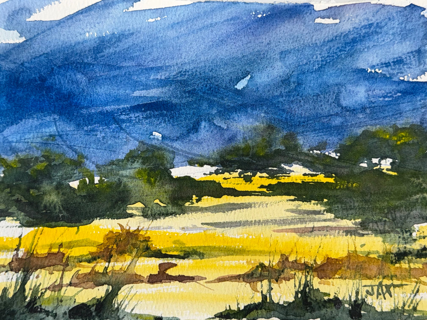 Original Artist Watercolor Sketches