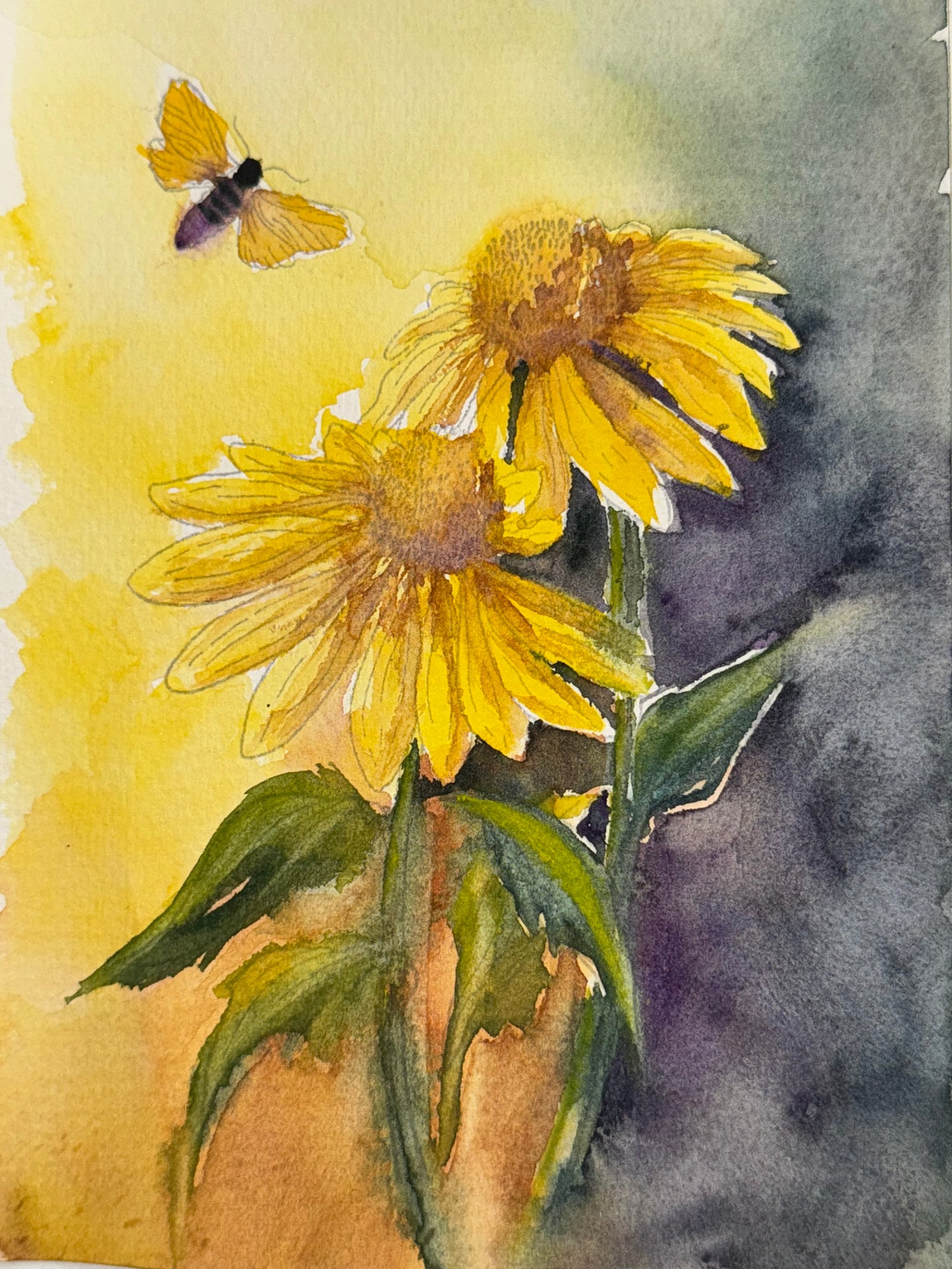 Original Artist Watercolor Sketches
