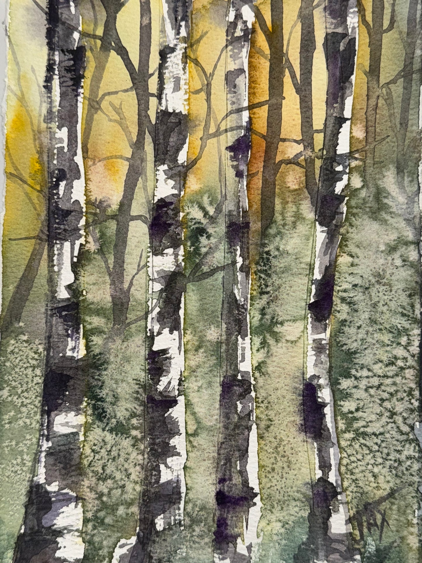 Original Artist Watercolor Sketches
