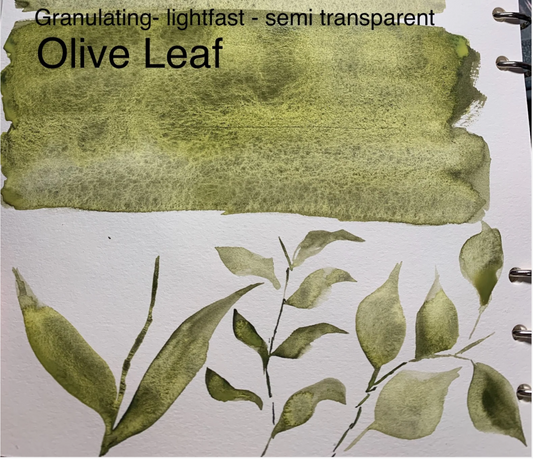 Olive Leaf | A Green with Spectacular Watercolor Beauty