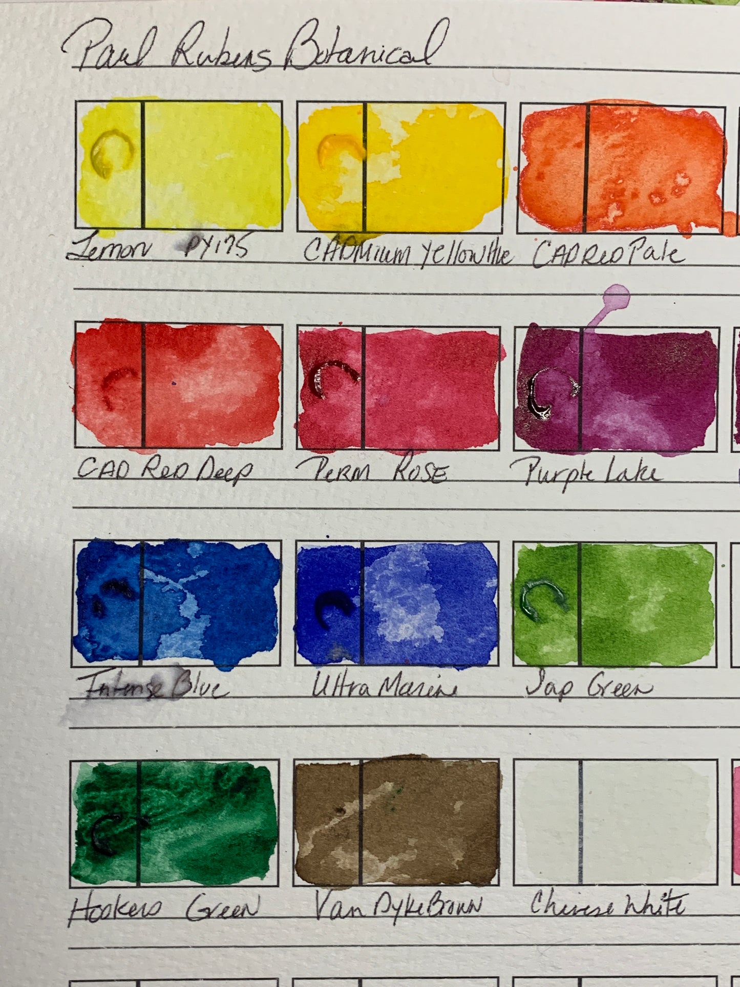 Paul Rubens Botanical Mixing Watercolor Palette 12