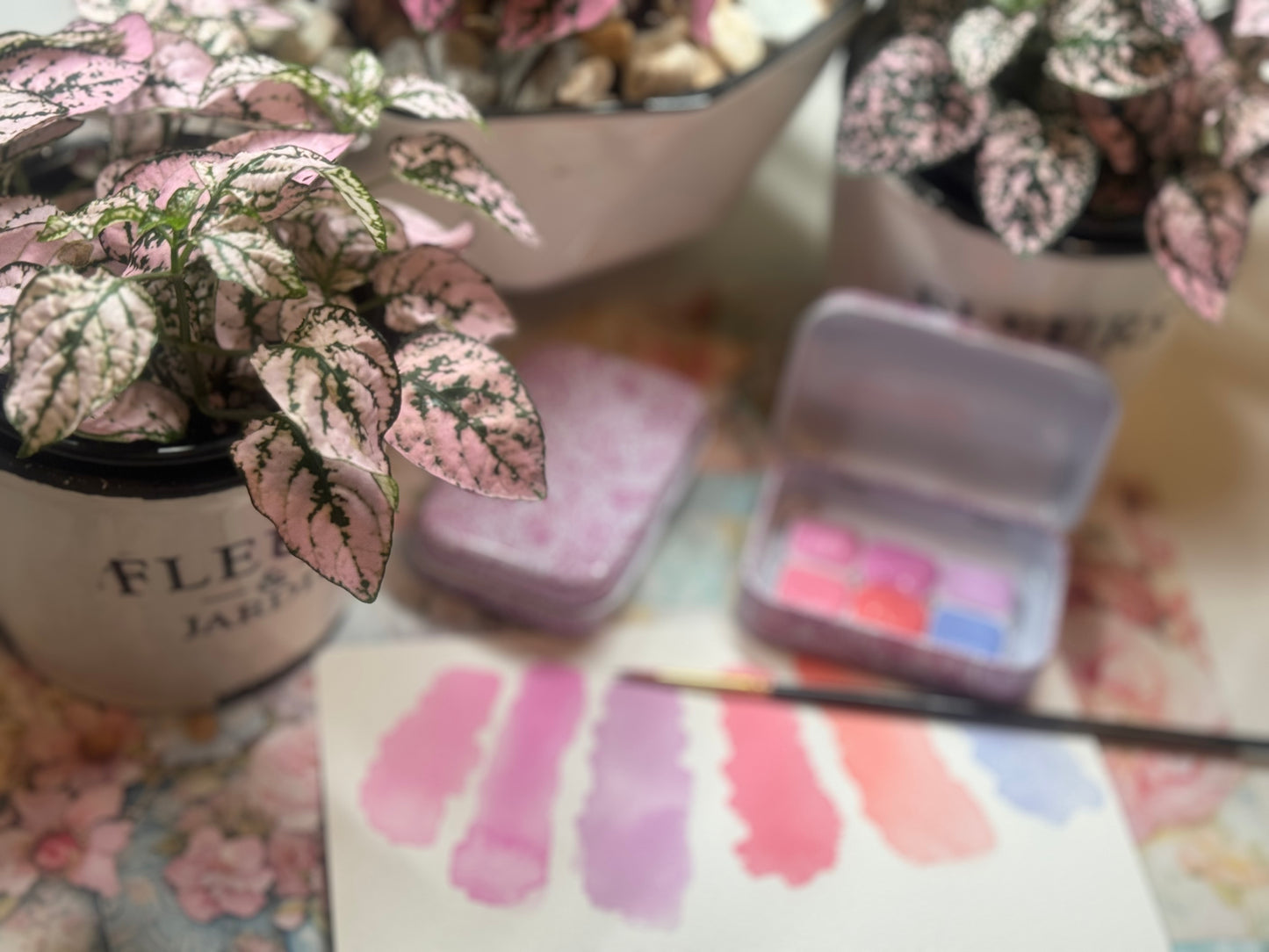 Spring Blooms Limited Edition Watercolor Set