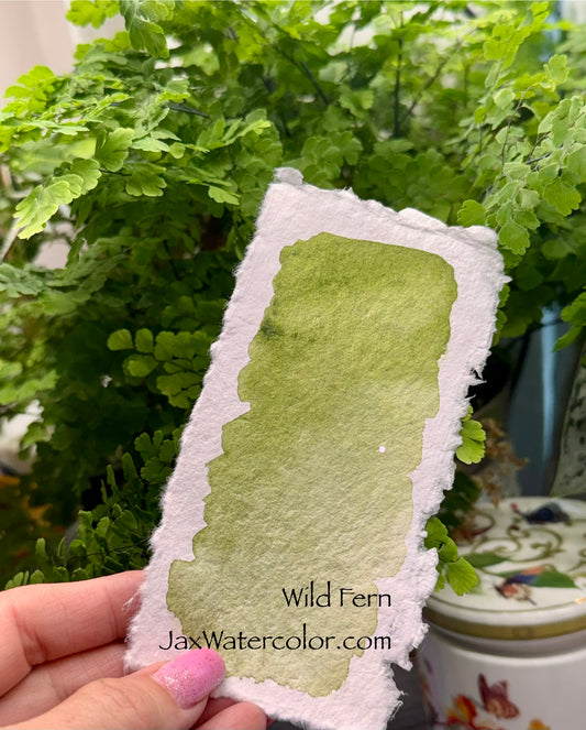 WILD FERN