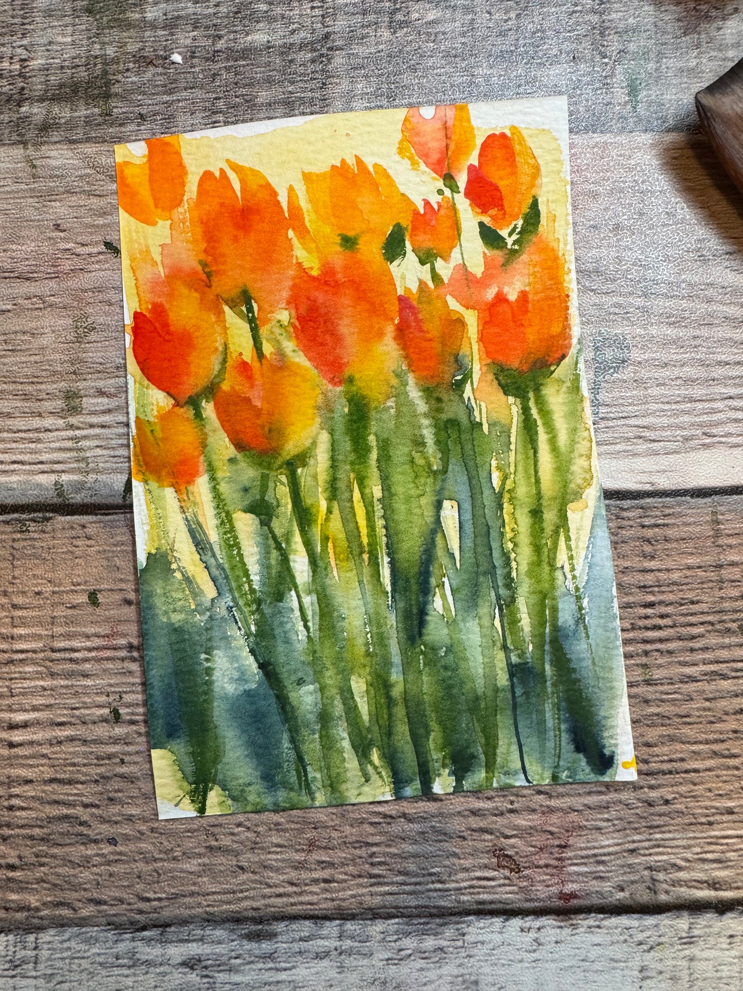 Original Artist Watercolor Sketches