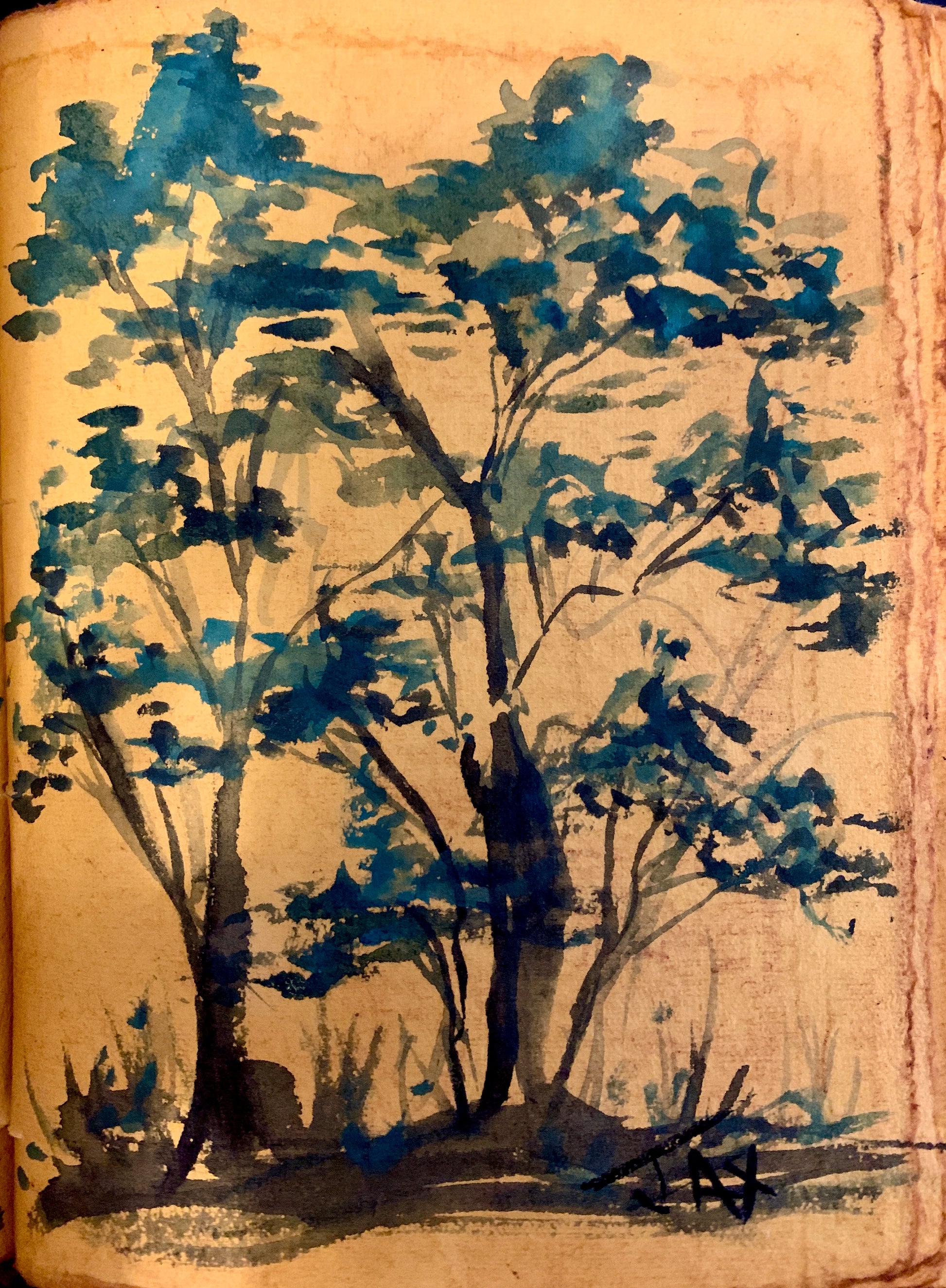 Blue Japanese trees 1